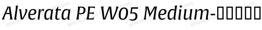 Alverata PE W05 Medium字体转换